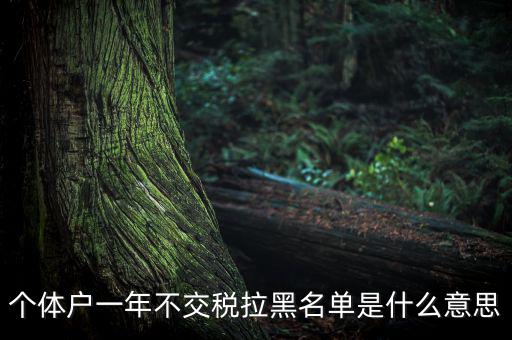 什么是納稅信用黑名單，個(gè)體戶一年不交稅拉黑名單是什么意思