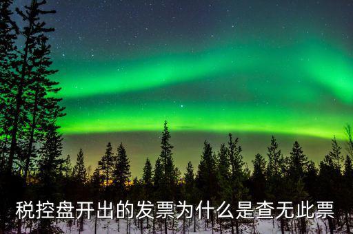 稅控盤開出的發(fā)票為什么是查無(wú)此票