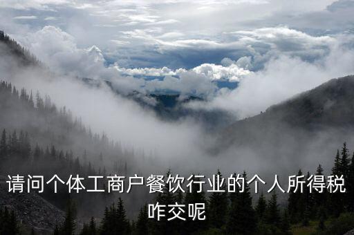 請(qǐng)問(wèn)個(gè)體工商戶餐飲行業(yè)的個(gè)人所得稅咋交呢