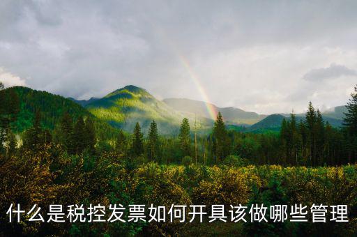 申請(qǐng)稅控是什么，什么是稅控盤申請(qǐng)稅控盤需要什么手續(xù)