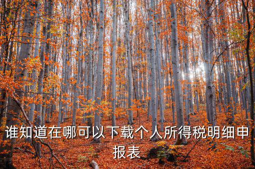 下載什么看申報(bào)稅，誰知道在哪可以下載個(gè)人所得稅明細(xì)申報(bào)表