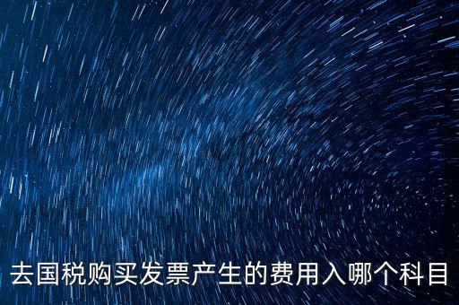 國稅計入什么科目，付國稅應(yīng)計入什么科目求解啊