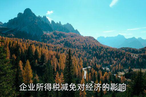 減稅免稅有什么弊端，減稅對個人和企業(yè)的不利影響