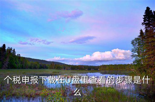 個稅申報(bào)下載在U盤里查看的步驟是什么
