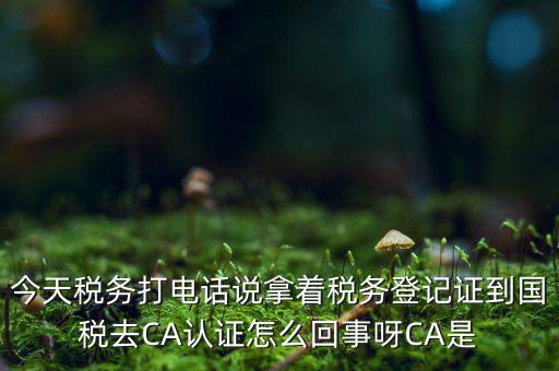 稅務(wù)局ca證書是什么，今天稅務(wù)打電話說(shuō)拿著稅務(wù)登記證到國(guó)稅去CA認(rèn)證怎么回事呀CA是