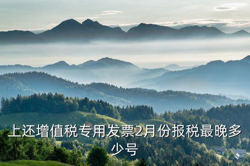己開具專用票最遲什么時(shí)侯報(bào)稅，銷售貨物開具了發(fā)票什么時(shí)候報(bào)稅
