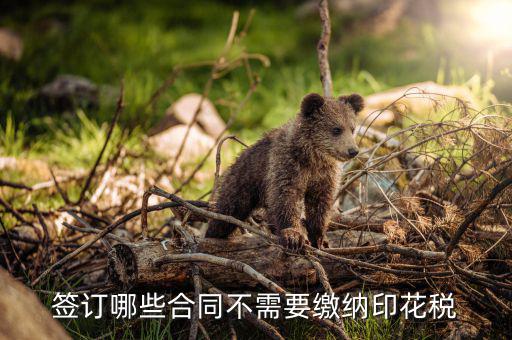什么合同需要交印花稅，要交印花稅的合同有哪些