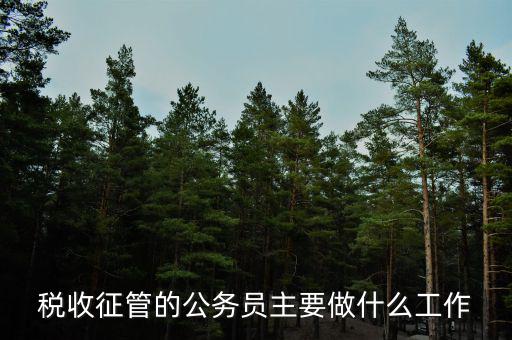 稅收管理員干什么的，稅收征管的公務(wù)員主要做什么工作