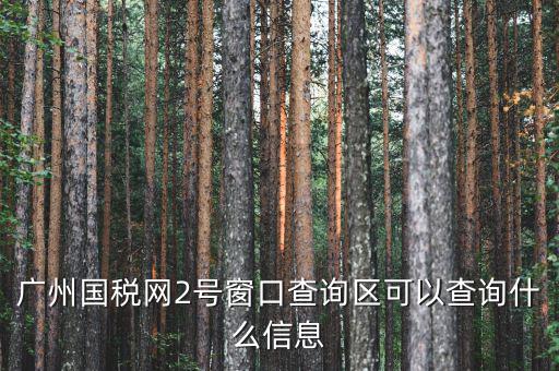 廣州國(guó)稅網(wǎng)2號(hào)窗口查詢區(qū)可以查詢什么信息