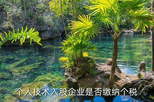個人專利入股繳什么稅，請教稅法高手個人專利技術(shù)入股需繳稅嗎