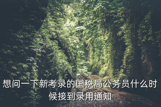 國稅錄取通知什么時候，今年國稅公務(wù)員正式錄用公告什么時候出