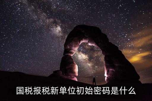 國(guó)稅申報(bào)登錄密碼是什么，抄報(bào)稅密碼應(yīng)該是什么啊