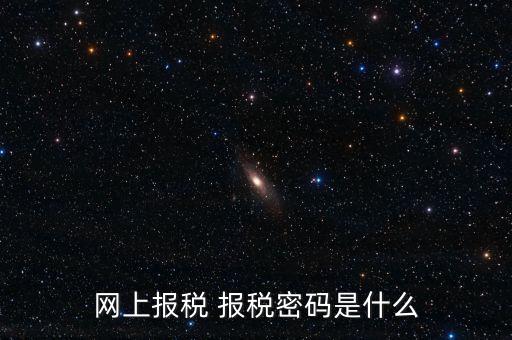 網(wǎng)上報(bào)稅 報(bào)稅密碼是什么