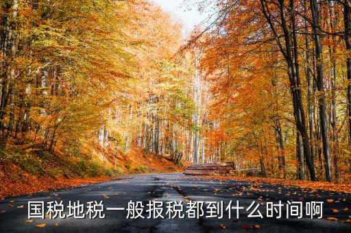 國(guó)稅上報(bào)省局什么時(shí)候，國(guó)稅地稅網(wǎng)上報(bào)稅時(shí)間