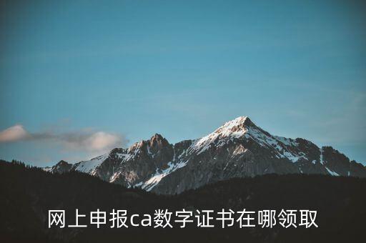 申報領取什么CA，財務報稅的ca通道是什么