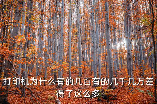 發(fā)票打印機(jī)為什么這么貴，為什么針式打印機(jī)還是那么貴
