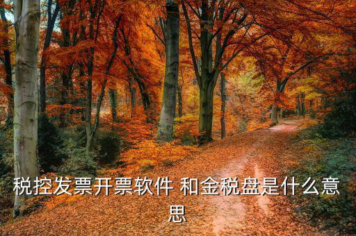 稅控發(fā)票開(kāi)票軟件 和金稅盤是什么意思
