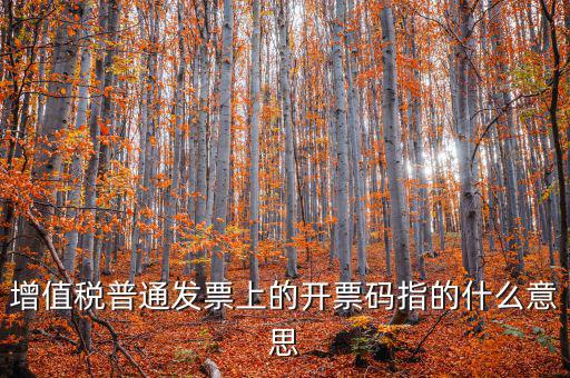 稅控盤(pán)開(kāi)票碼是什么意思，增值稅普通發(fā)票上的開(kāi)票碼指的什么意思