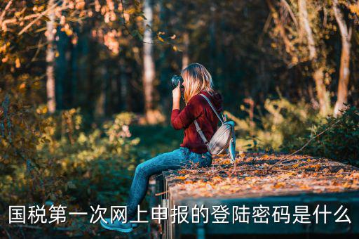 深圳網(wǎng)廳國稅登錄秘碼是什么意思，稅務(wù)局網(wǎng)站的登入賬戶初始密碼是什么