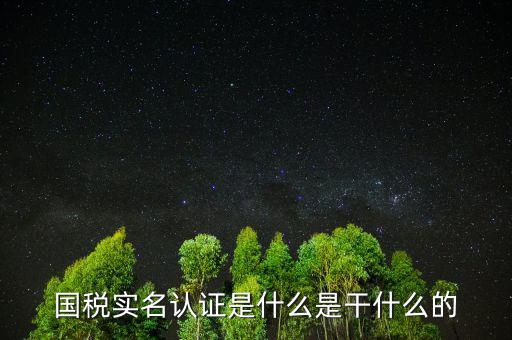 國稅實名制認證要什么手續(xù)，國稅實名認證是什么是干什么的