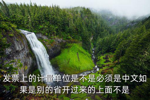 發(fā)票計(jì)量單位是什么，發(fā)票上的計(jì)量單位是不是必須是中文如果是別的省開過來的上面不是