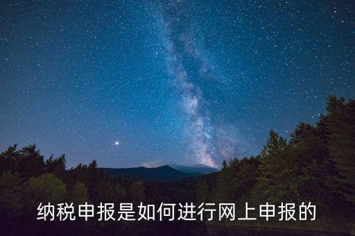 納稅人的網上申報屬于什么方式，網上申報屬于