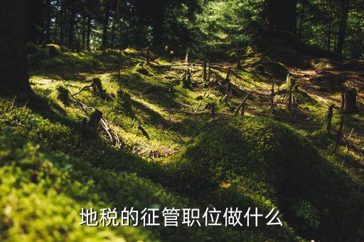 省地稅局是做什么的，地方稅務(wù)局