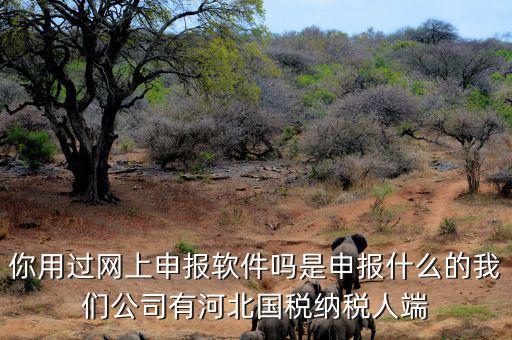 稅友報稅的軟件叫什么，你用過網(wǎng)上申報軟件嗎是申報什么的我們公司有河北國稅納稅人端