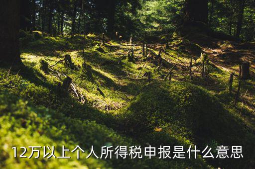個(gè)稅12萬申報(bào)是什么意思，12萬以上個(gè)人所得稅申報(bào)是什么意思