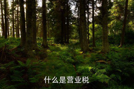 營(yíng)業(yè)稅是什么行為稅，請(qǐng)問(wèn)什么是營(yíng)業(yè)稅