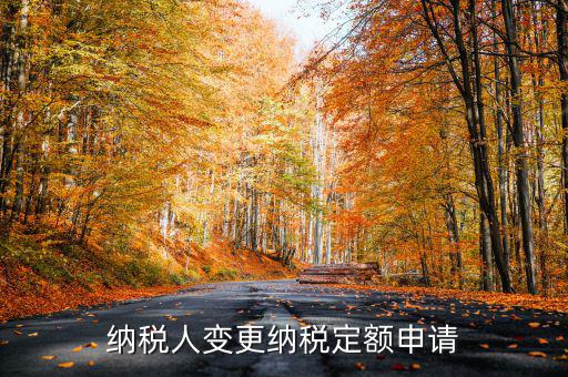 變更納稅定額什么意思，調(diào)整應(yīng)納稅所得額什么意思