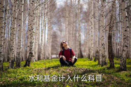 水利基金指什么，水利基金計(jì)入什么科目
