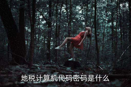 地稅稅務(wù)登陸密碼是什么意思，湖北地稅網(wǎng)絡(luò)發(fā)票登陸密碼是什么急急急