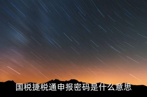 國稅申報登陸密碼是什么意思，國稅第一次網(wǎng)上申報的登陸密碼是什么