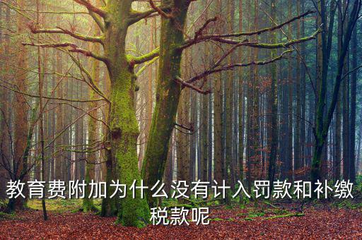 教育費(fèi)附加為什么沒(méi)有計(jì)入罰款和補(bǔ)繳稅款呢