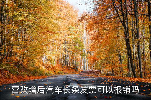 營(yíng)改增后汽車長(zhǎng)條發(fā)票可以報(bào)銷嗎