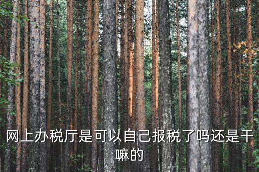 什么是網上辦稅服務廳，電子申報管理系統和網上辦稅大廳有什么不同的