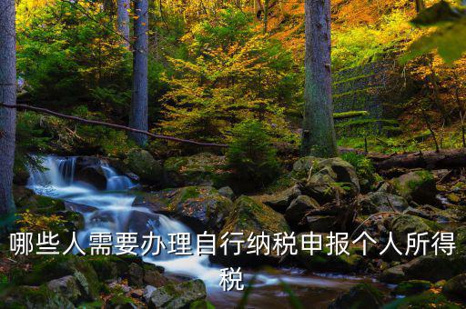 自行申報(bào)納稅是什么，所得稅自行納稅申報(bào)納稅名詞解釋