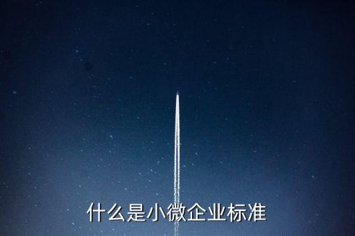 什么樣的標(biāo)準(zhǔn)是小薇企業(yè)，什么是小微企業(yè)標(biāo)準(zhǔn)