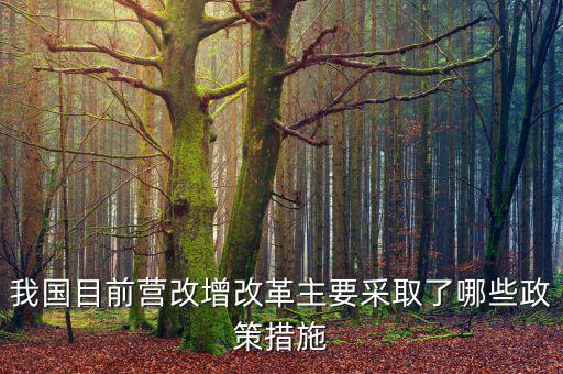 目前營改增政策暫不包括什么，營改增的范圍不包括  A軌道交通運(yùn)輸 B航空公司出租飛機(jī)配