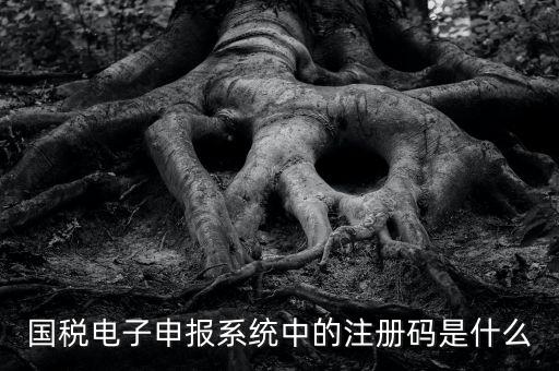 納稅申報(bào)碼是什么碼，什么是納稅申報(bào)號(hào)