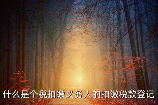 什么是個稅扣繳義務(wù)人的扣繳稅款登記
