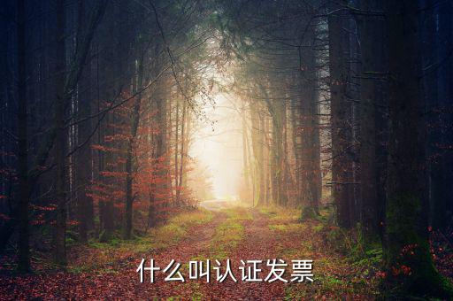 什么叫認(rèn)證發(fā)票，什么叫認(rèn)證增值稅發(fā)票如何認(rèn)證好像還有手工認(rèn)證是怎么回事啊