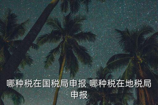 國(guó)稅局可以申報(bào)什么稅，在國(guó)稅申報(bào)的稅種有哪些稅率是多少