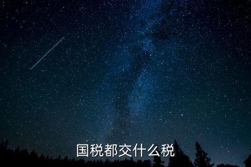 國稅五項稅種都是什么，國稅包括哪些稅種