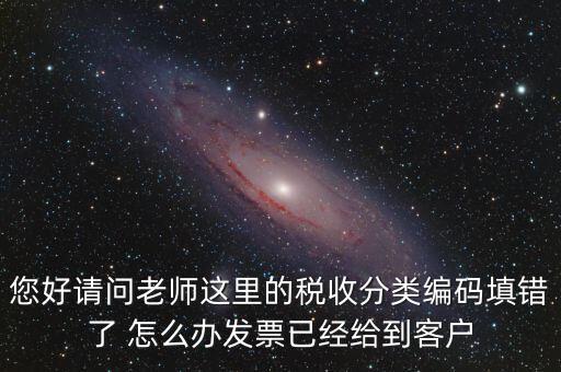 稅收分類編碼錯誤的是什么，汽車導航儀稅收分類編碼是什么
