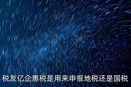 稅友報(bào)稅的是什么，稅友億企惠稅是用來申報(bào)地稅還是國稅