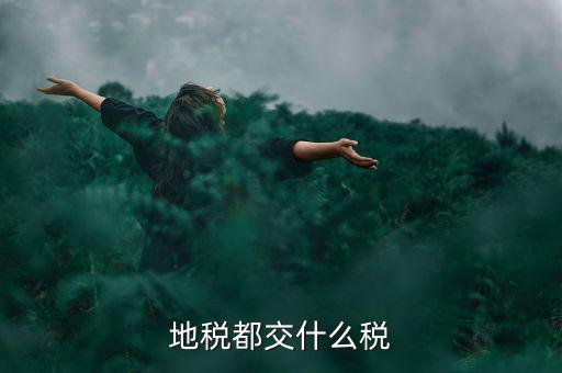 地稅需要報什么稅種，地稅應(yīng)交哪些稅