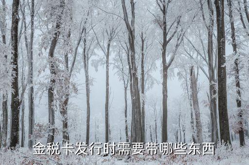 金稅盤發(fā)行帶什么，金稅卡發(fā)行時需要帶哪些東西