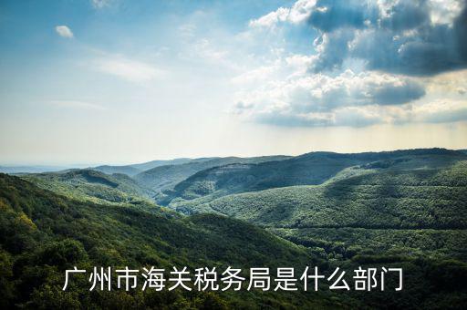稅務(wù)總局國(guó)際司干什么，國(guó)家稅務(wù)總局是正部級(jí)
